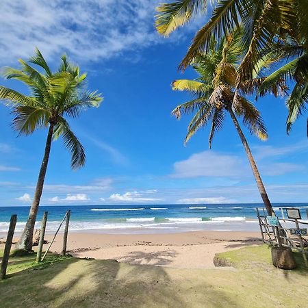 Laus Bangalos Experience - Piscina Privativa - Praia De Algodoes - Peninsula De Marau - Bahia Praia dos Algodoes エクステリア 写真