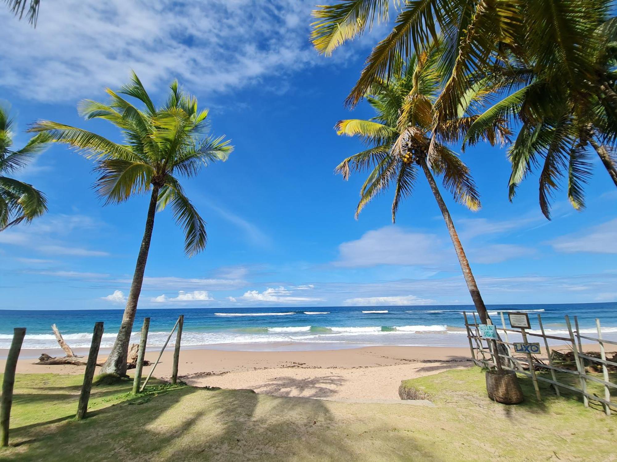 Laus Bangalos Experience - Piscina Privativa - Praia De Algodoes - Peninsula De Marau - Bahia Praia dos Algodoes エクステリア 写真